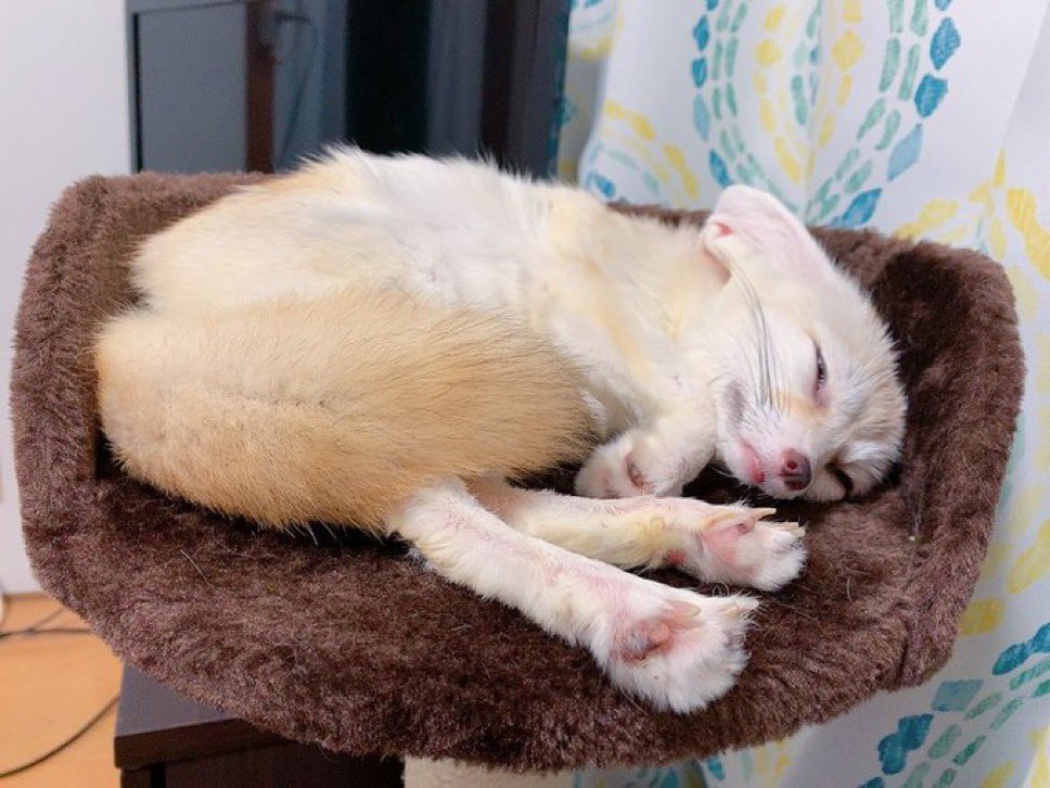 Mmm 12 hour nap. Good morning