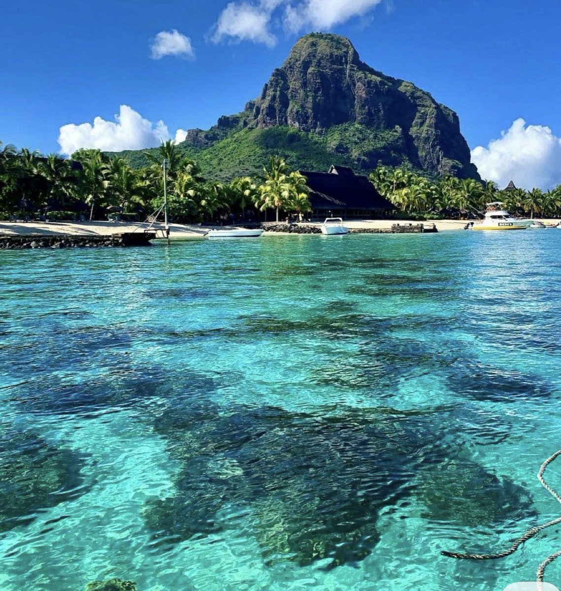 Alessandro Palombo tweet media