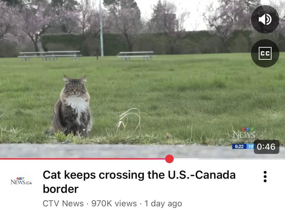 Wholesome Side of 𝕏 tweet media