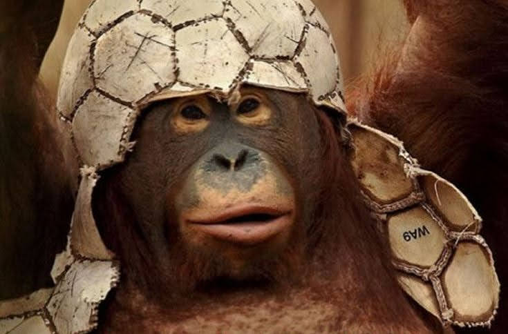 Werdernichts tweet media