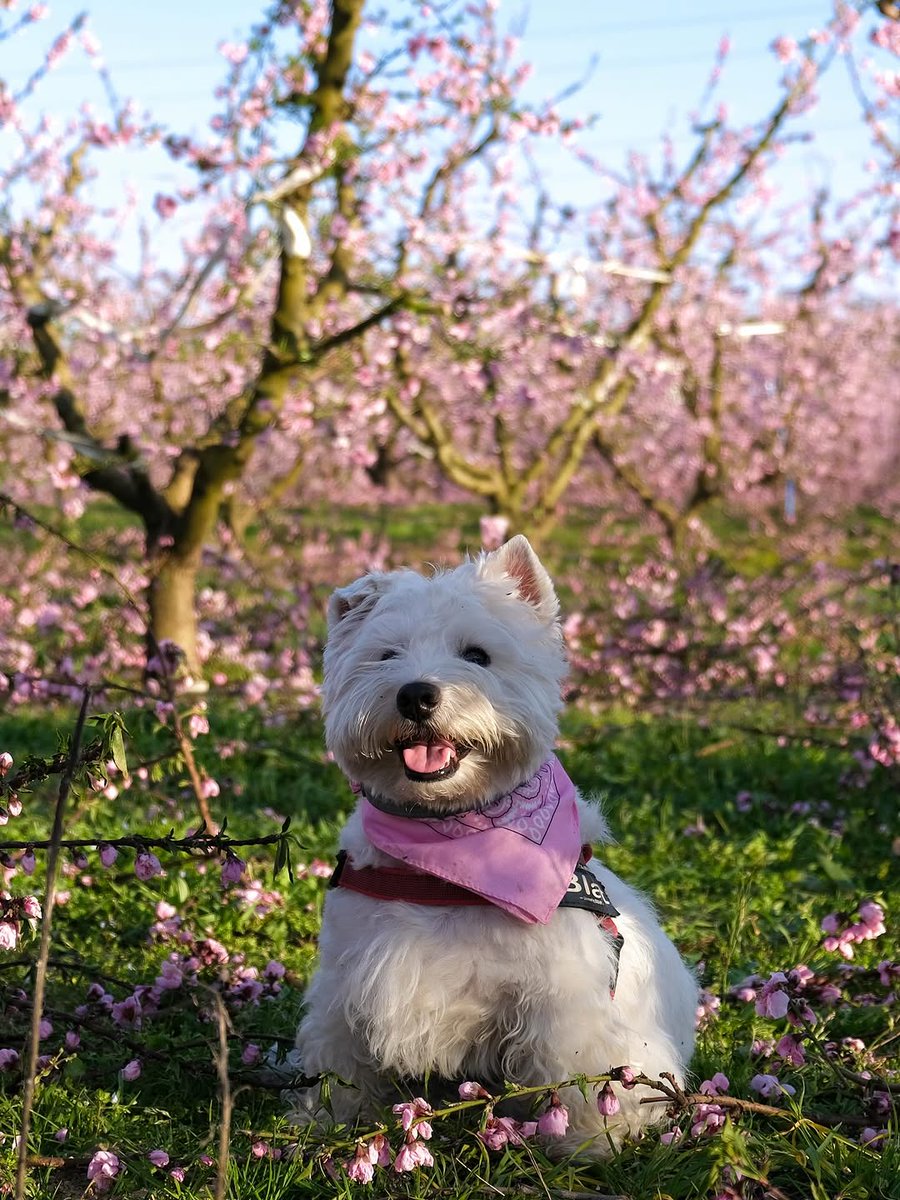 Segrià Turisme tweet media