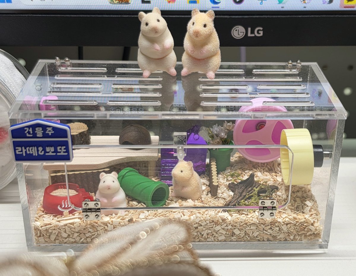 ROBOTWODAM_A's tweet photo. 이전 선주문때도 주문을 했었는데, 그 사이 9년만에 새로운 햄스터 아이를 데려오게 되어...😂 지금 키우는 아이도 만들어주고 싶어서 뵤, 아기뵤 모두 주문을 했어요.
정말 귀엽고 꼼꼼하게 작업해주신답니다.🥰🥰 https://t.co/Y2ZUEhXkwm