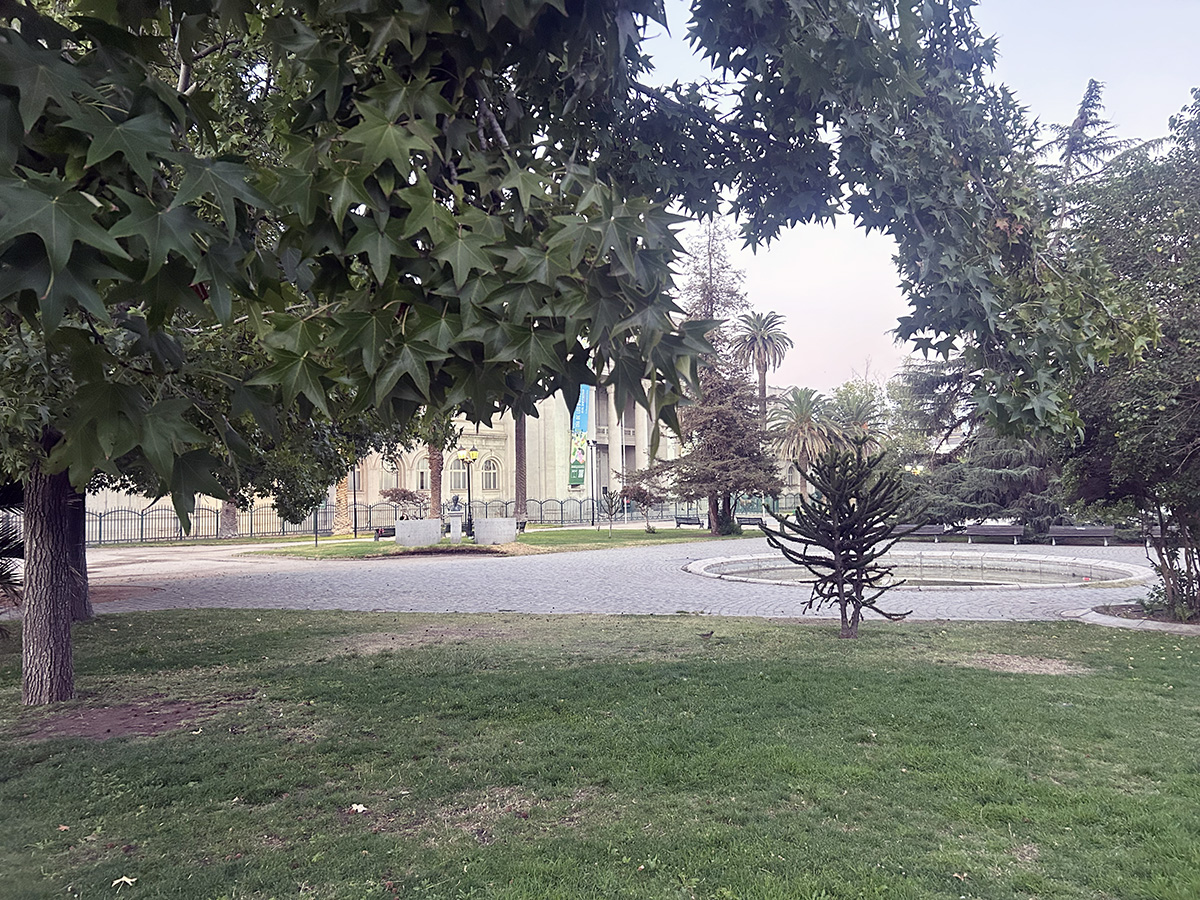 Museo Nacional de Historia Natural tweet media