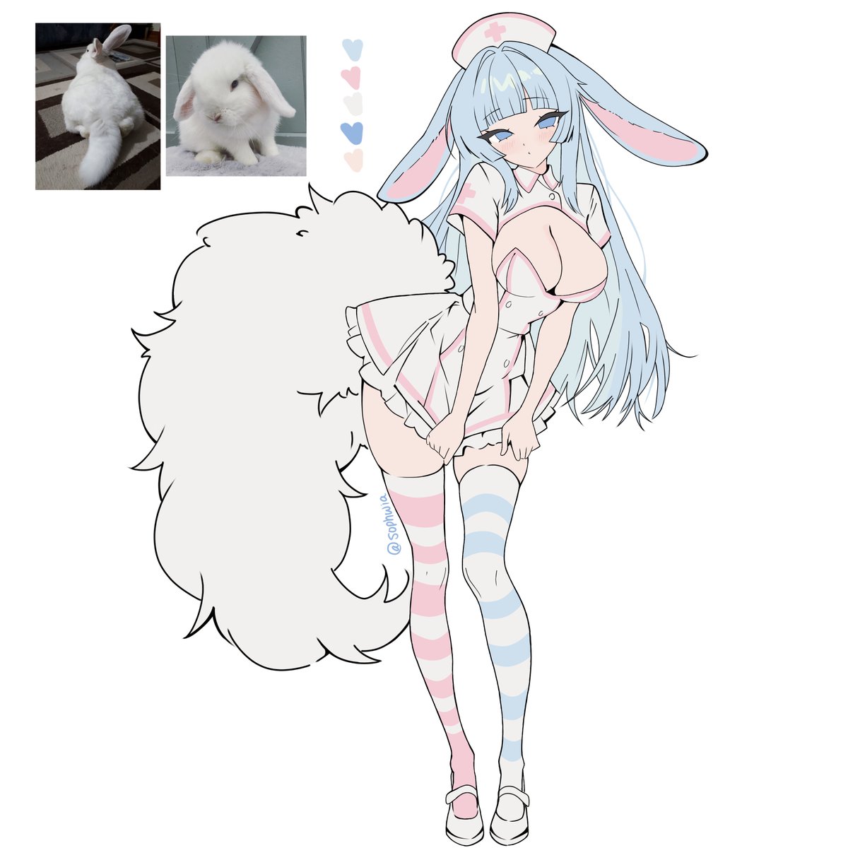 𑣲phia 🐾 tweet media