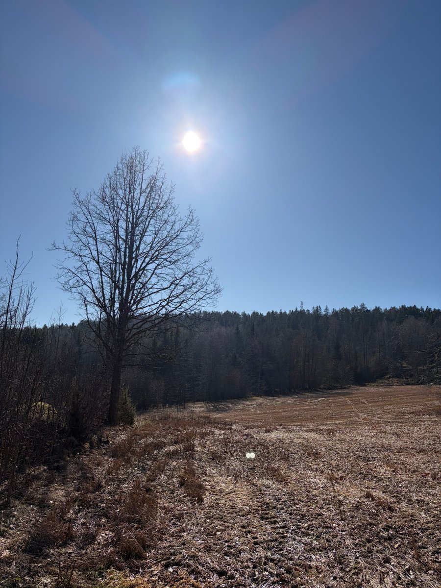 inger lise tweet media