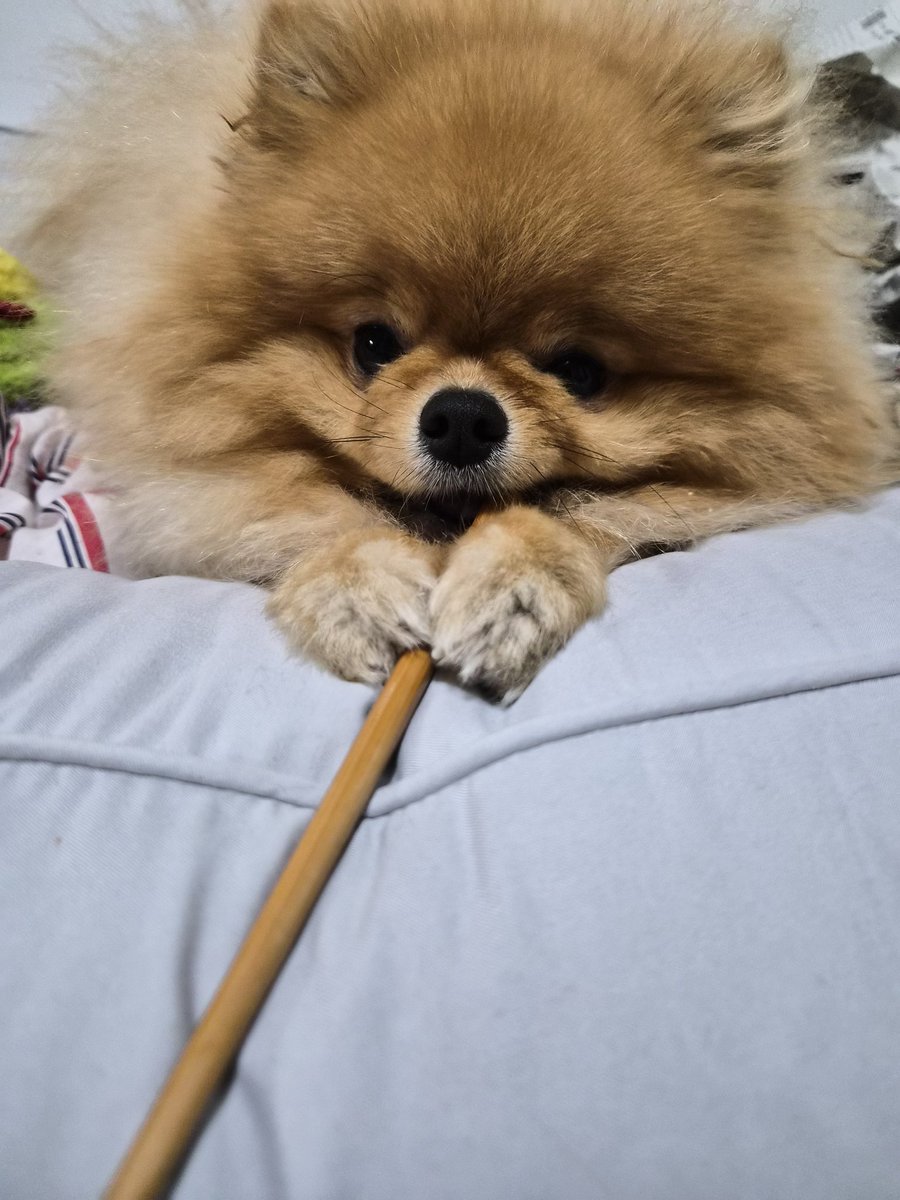 양개이cctv tweet media