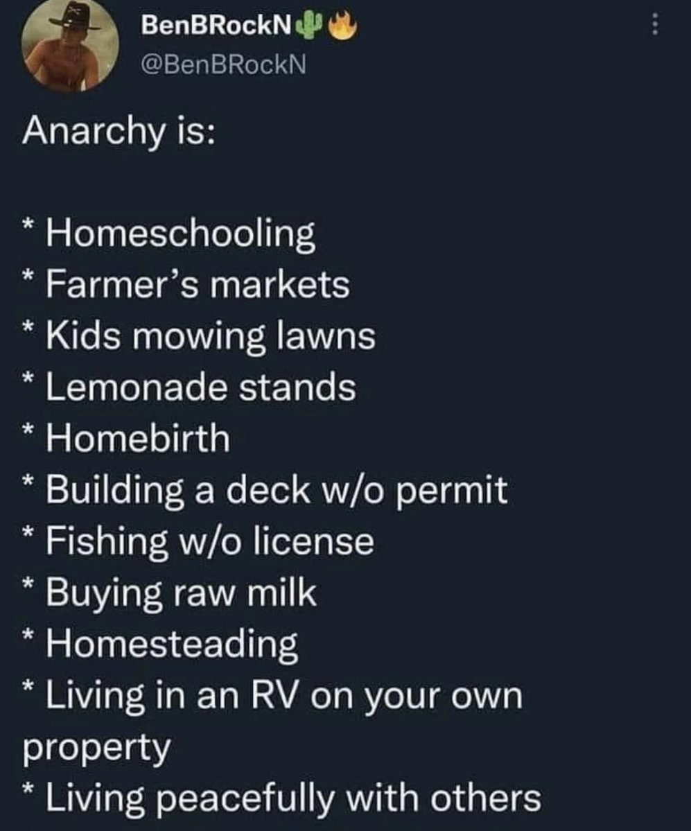 rabbitholebot tweet media