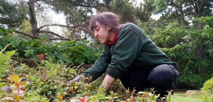 ACT Greenhouse tweet media