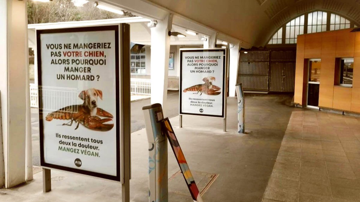 PETA France tweet media