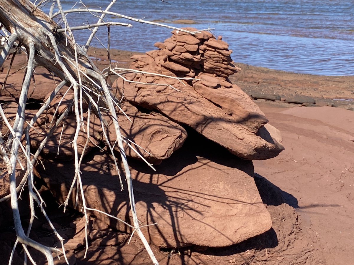 Always Anon PEI tweet media