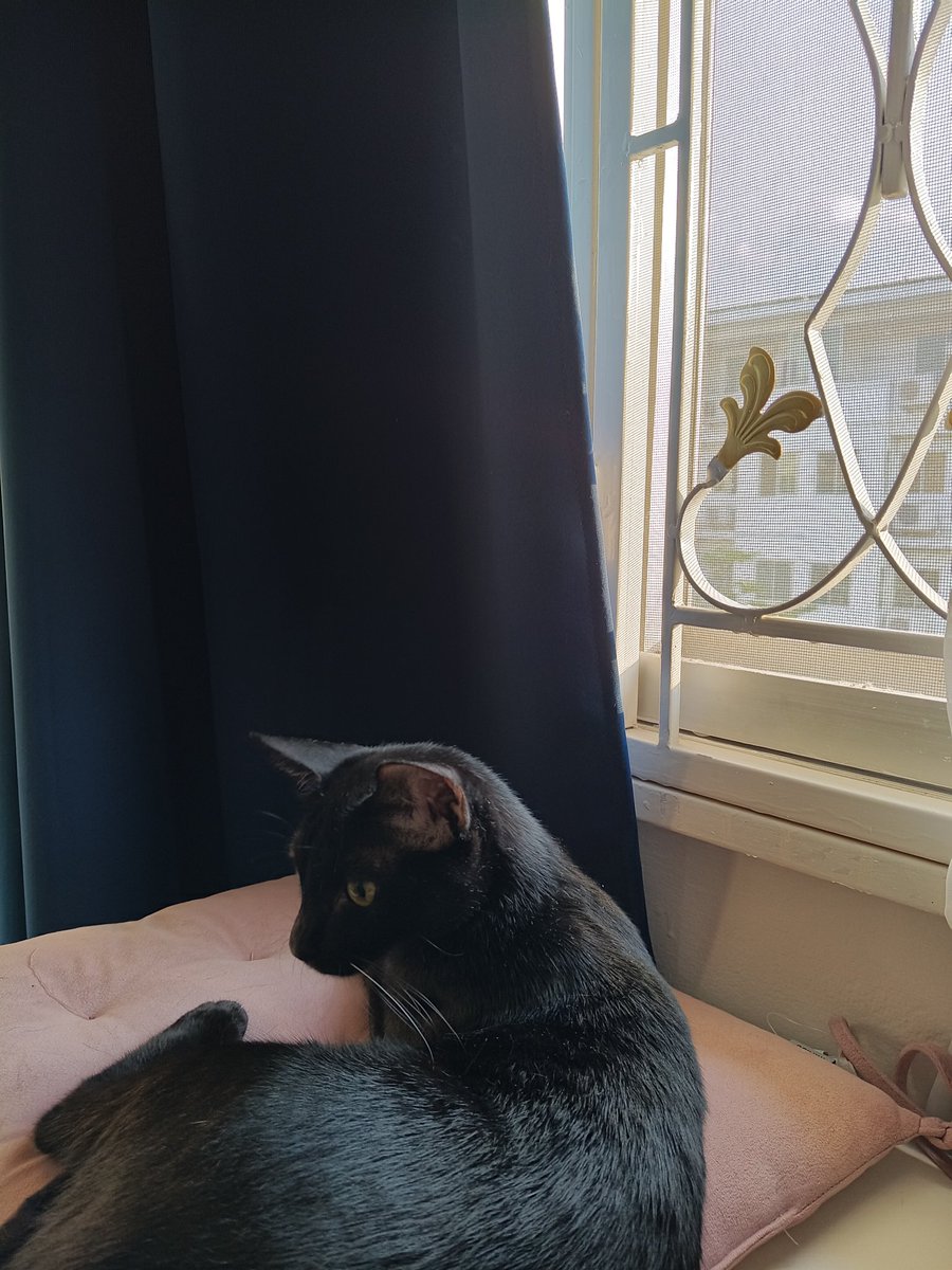 m - j e̤̮ y ✿ ˚ ₊ ✦ tweet media