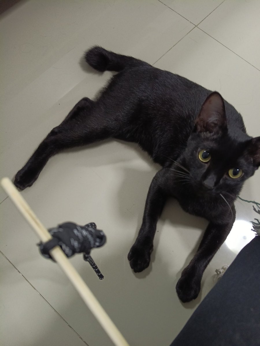 m - j e̤̮ y ✿ ˚ ₊ ✦ tweet media