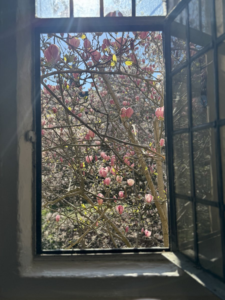 LiterateIndy tweet media