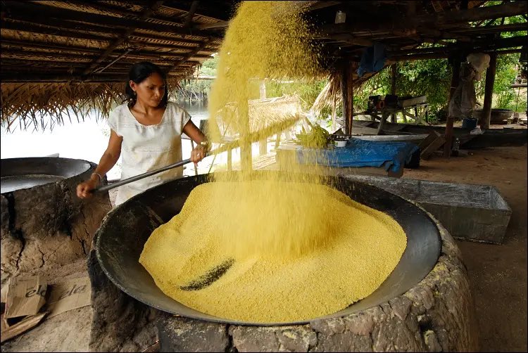 Pan African (Igbos are from Rivers State too) tweet media