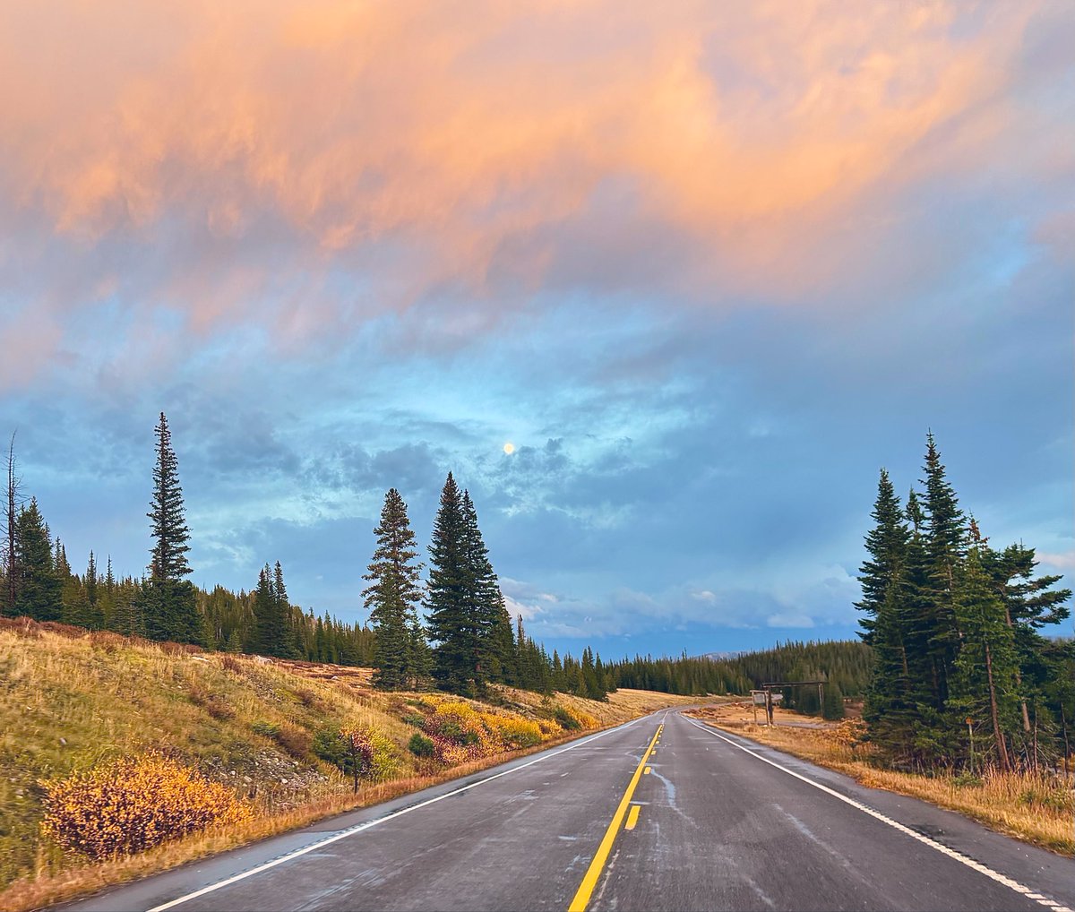 D Miller tweet media