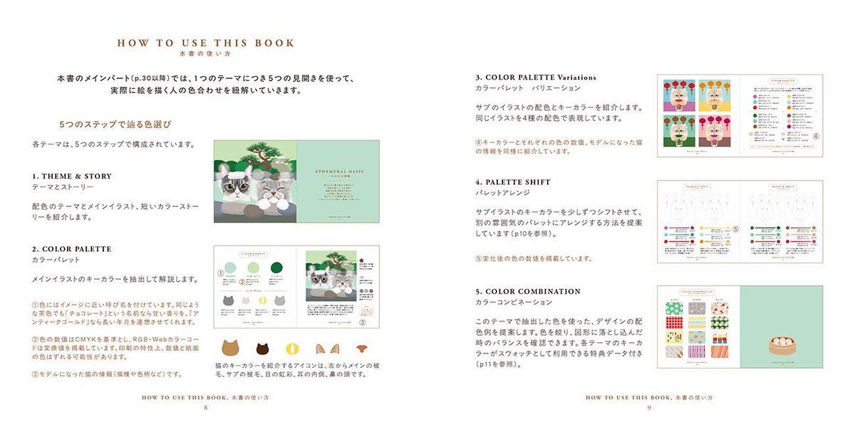 BNN, Inc.／ビー・エヌ・エヌ tweet media