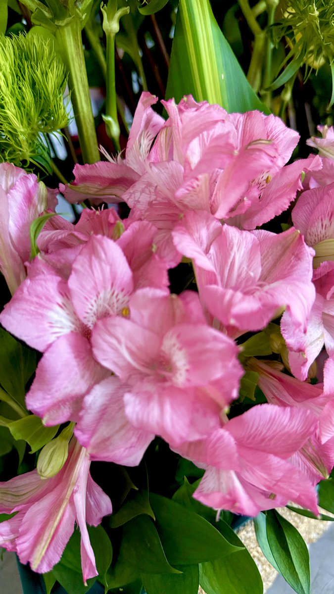 Elsa Ramos-Méndez tweet media