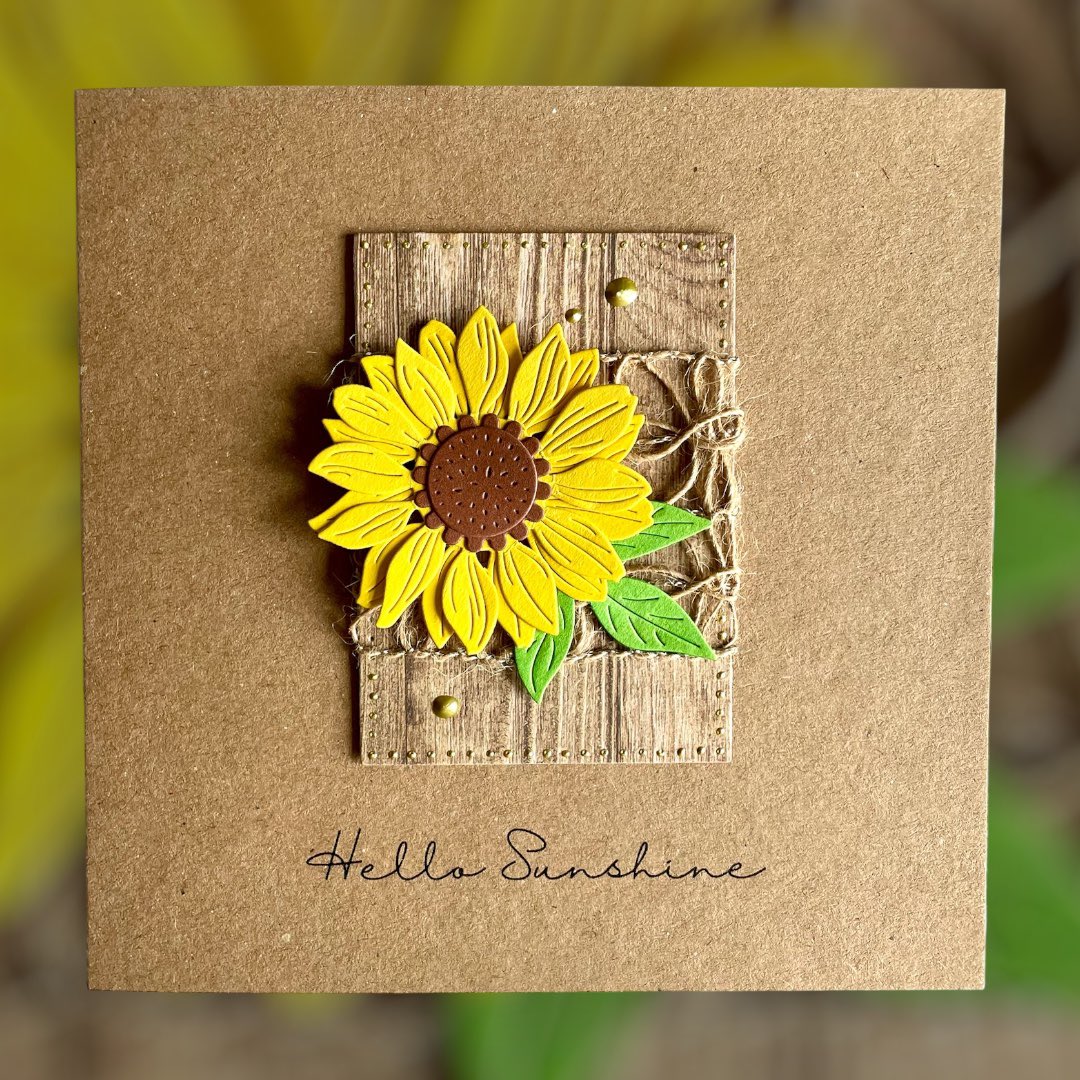 Susanz Cards tweet media