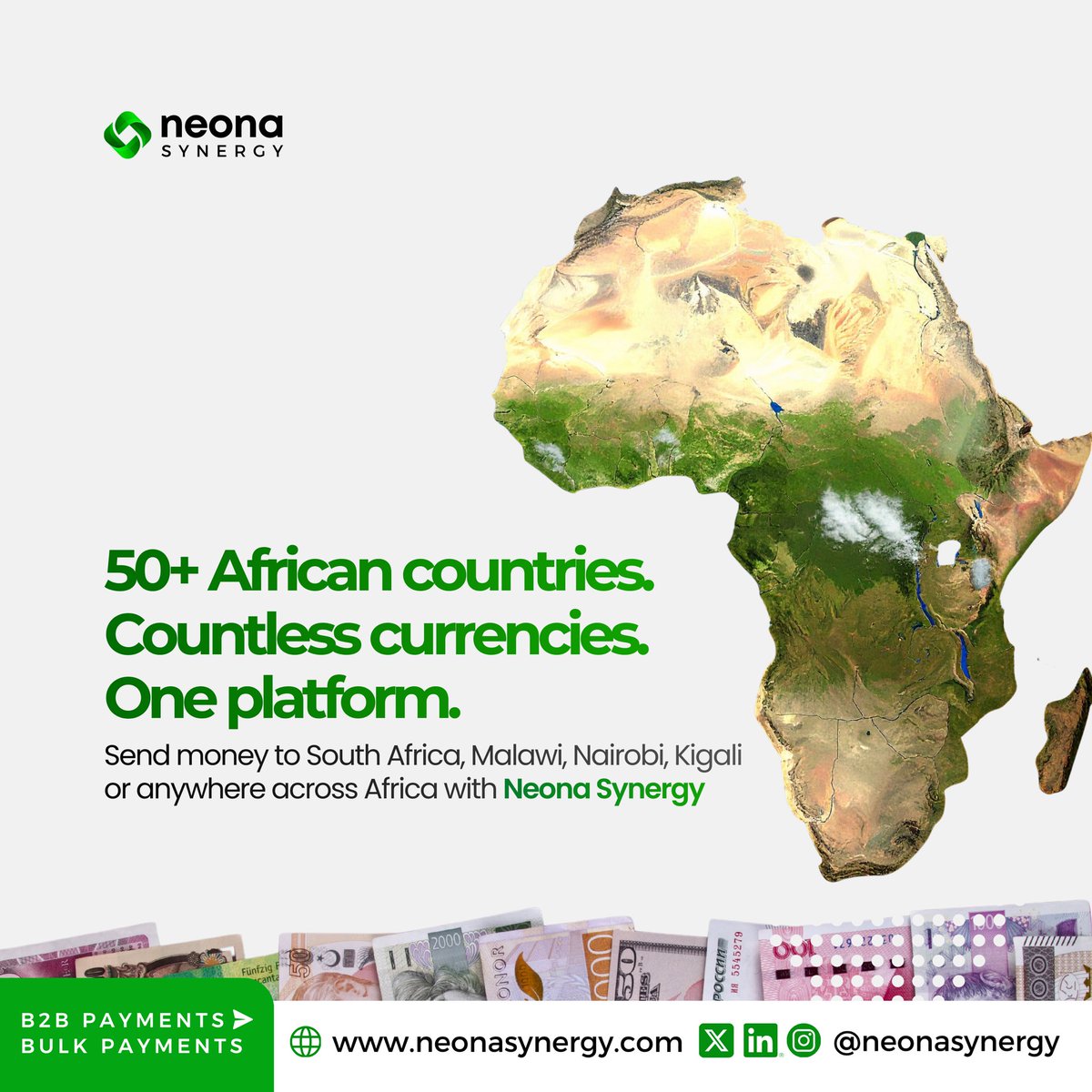 NeonaSynergy tweet media