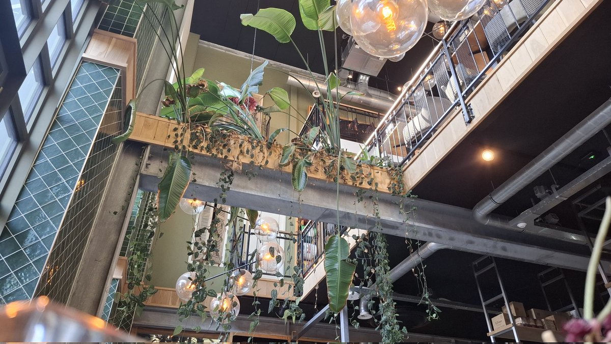 Jeroen Vogel tweet media