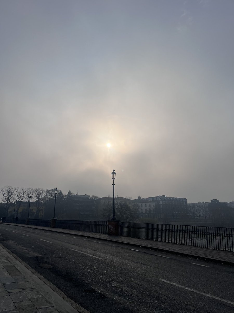 Adamantino 💎 tweet media