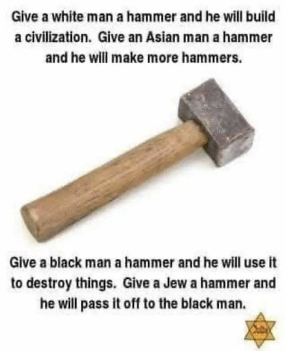 Rob 🇦🇺🏴‍☠️ tweet media