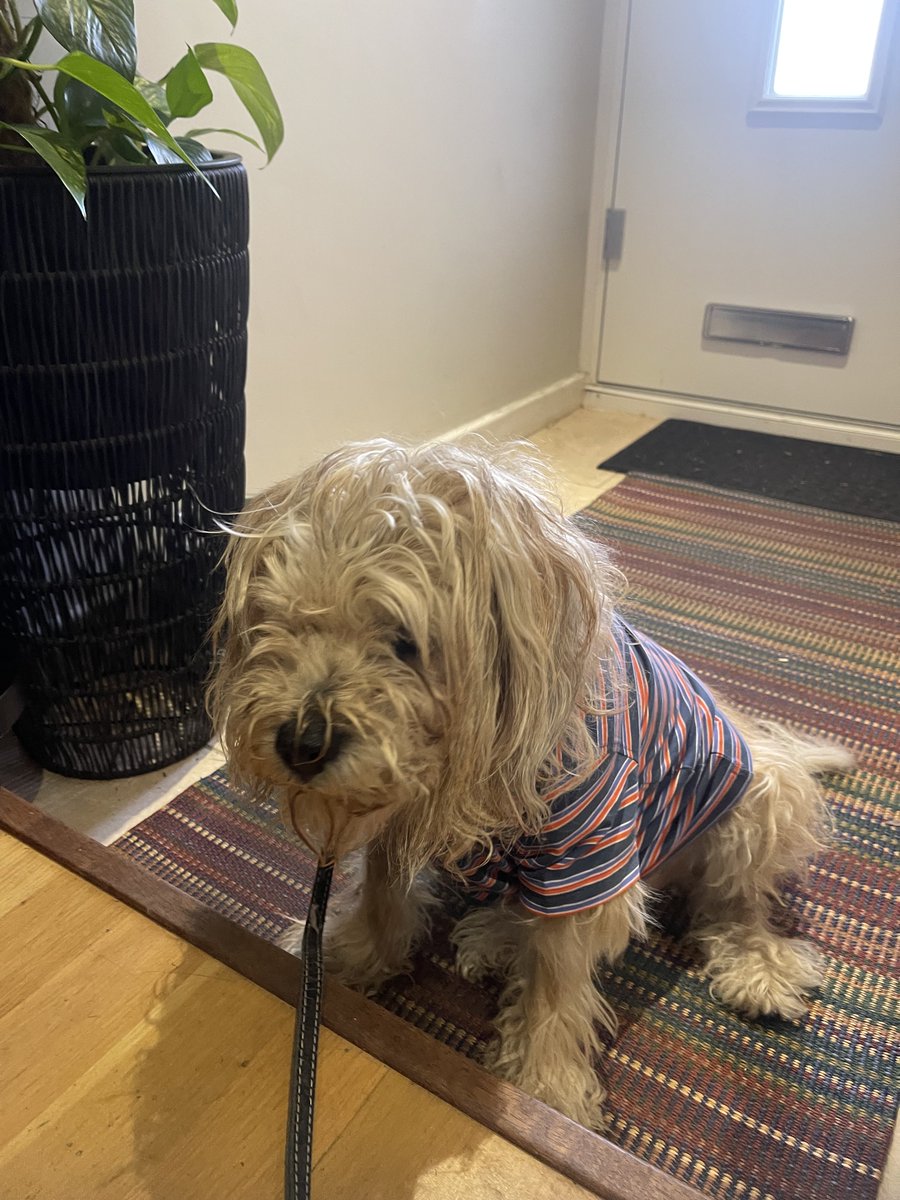 Lord Alfred’s Diary tweet media