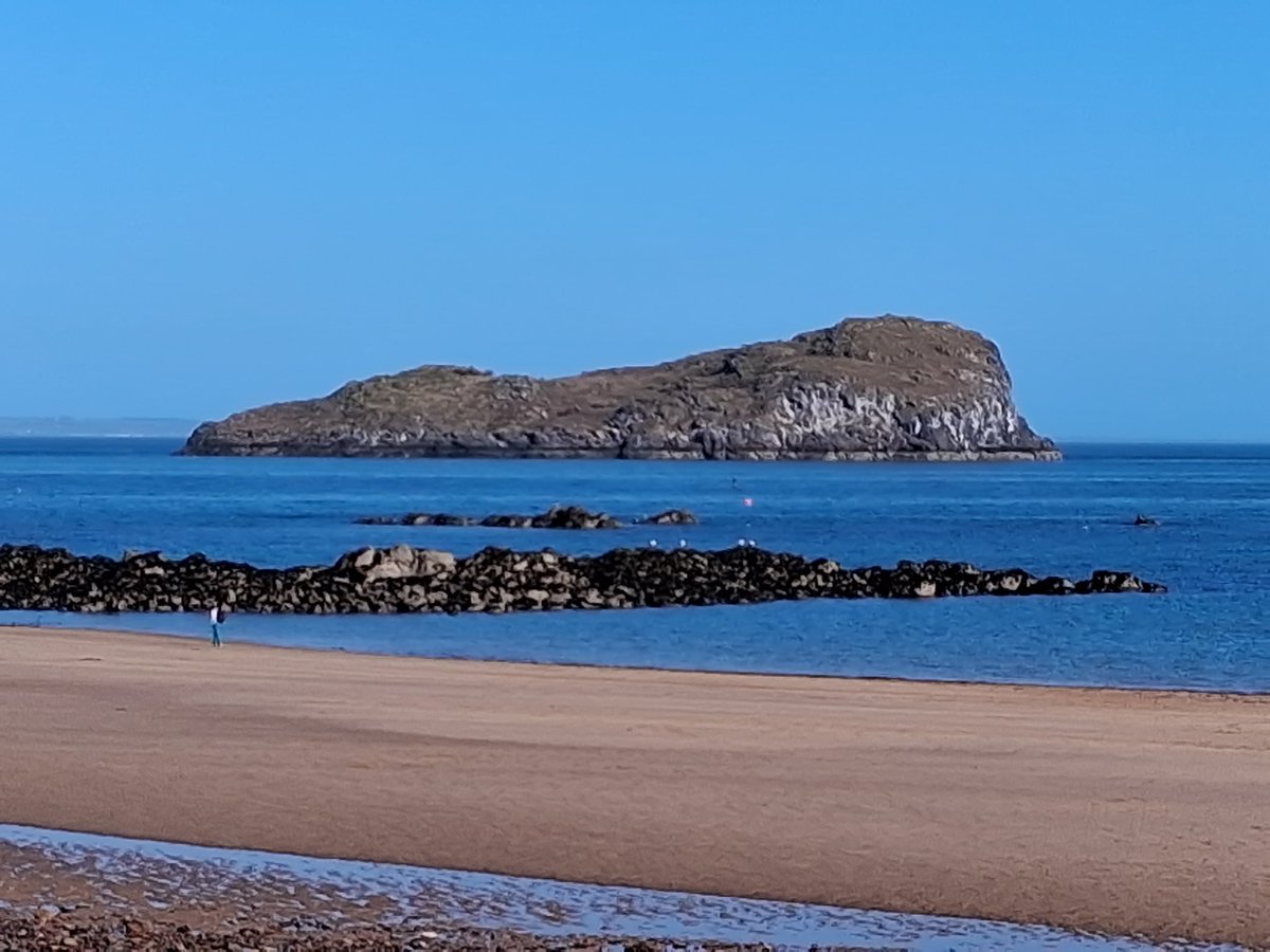 Gareth Higgins tweet media