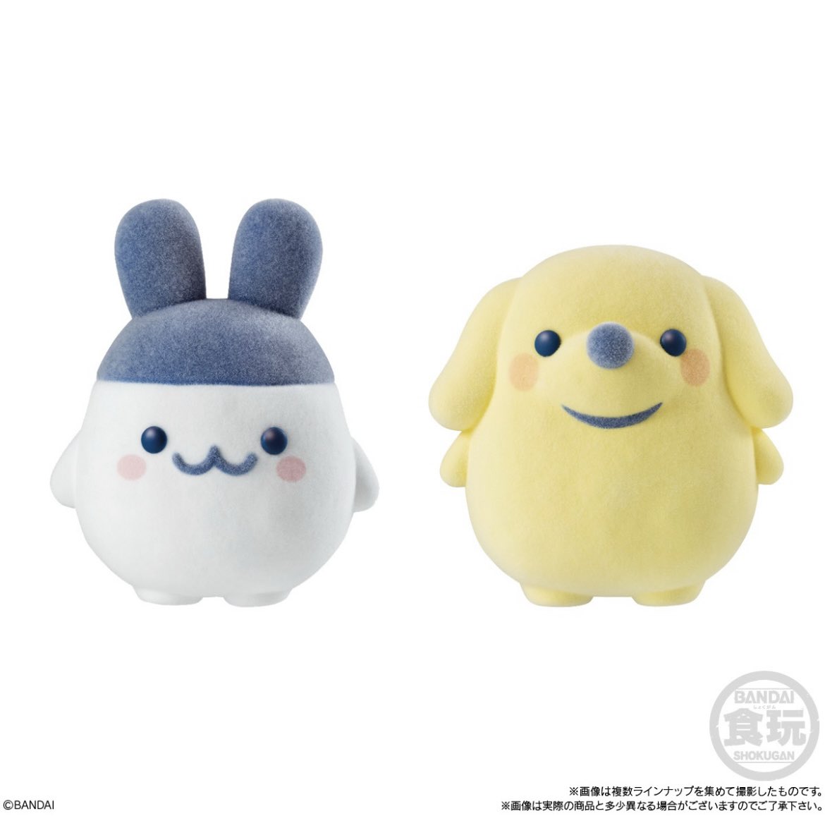 ✨NaNotchi✨ tweet media