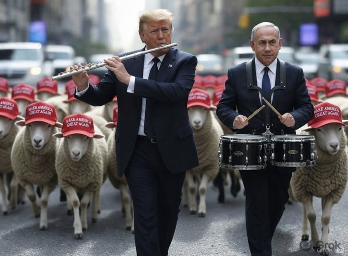 DanC ₿ tweet media