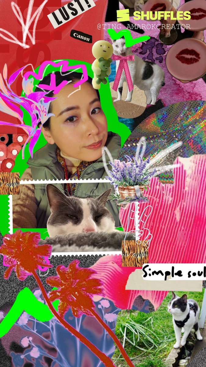 Ting 🔆🪻 💭 Amarok Creator tweet media