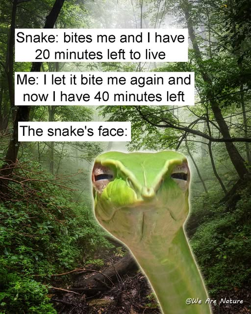 Truth and Reality tweet media