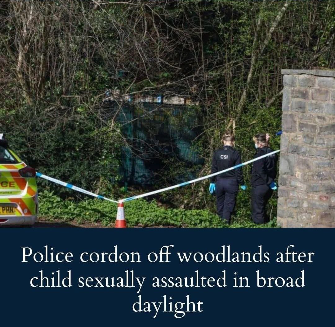 RagingDissident tweet media