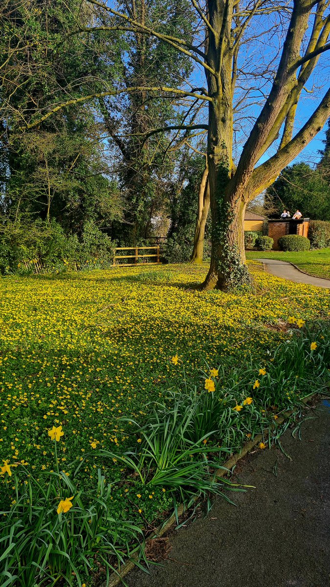 Peter Devine tweet media