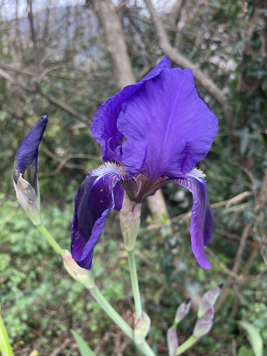 Irina Ideas tweet media