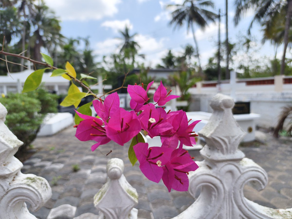 Sujith Samual tweet media