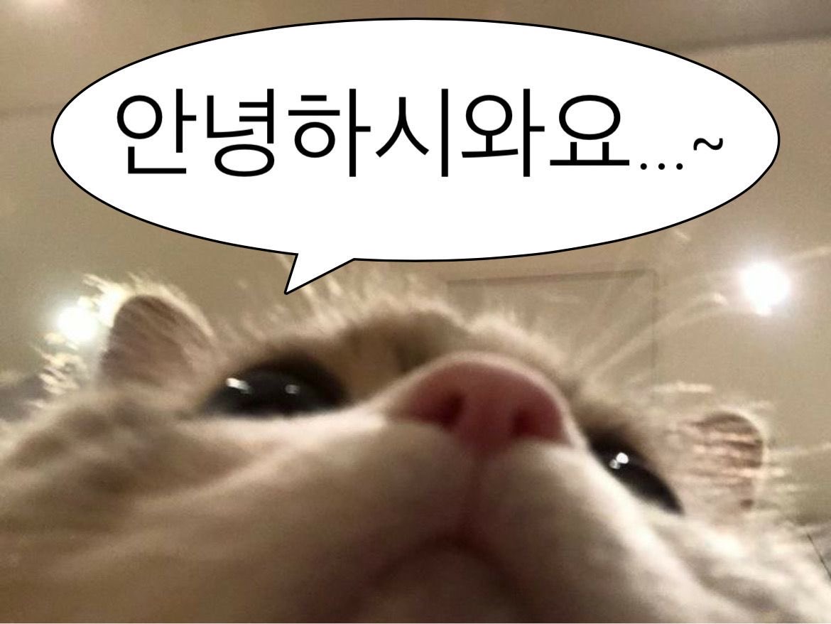 여땡 tweet media