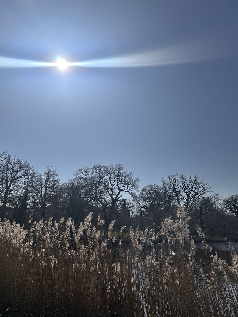 oliverek7 tweet media