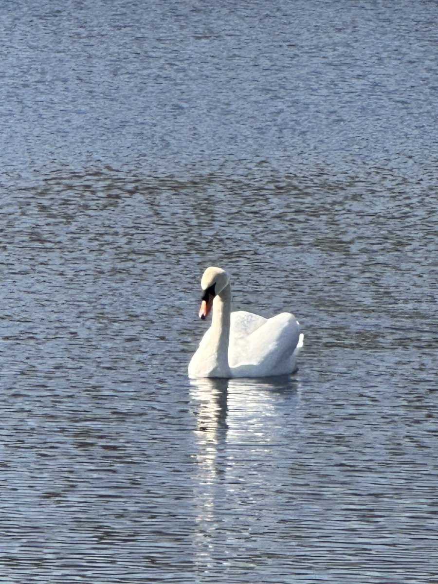 oliverek7 tweet media