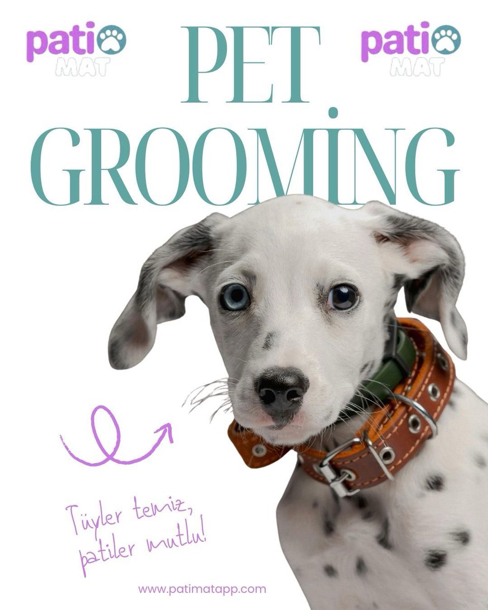 patimatapp's tweet photo. Tüyler temiz, patiler mutlu! 🐾✨

Pet grooming dostlarımızın sağlığı için de büyük önem taşır. 

Patimat App ile bakım hizmetlerine kolayca ulaşabilir, patili dostun için en iyi seçenekleri keşfedebilirsin. Çünkü bakımlı dost, mutlu dost demektir! 💜🐶

#patimatapp https://t.co/D1VaCBLmGO