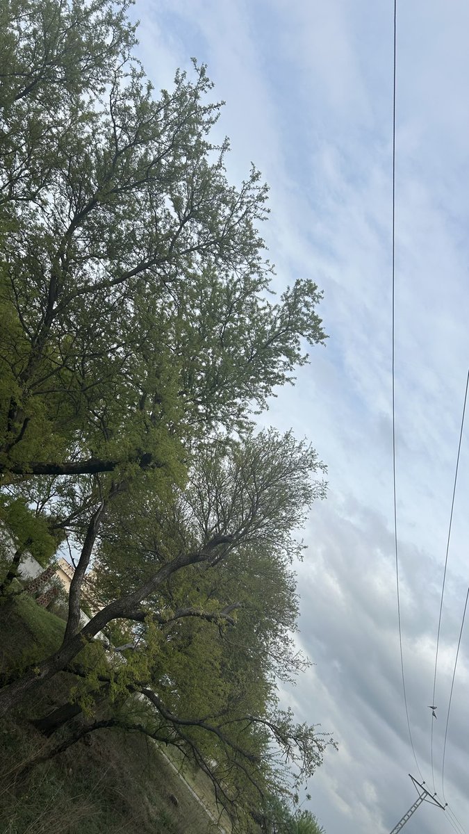 ghaaaanou tweet media