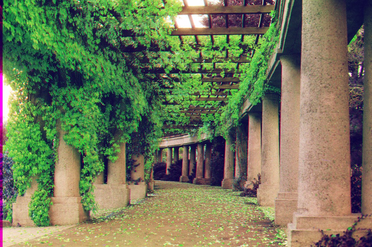 Pan Dmitri Brzęczyszczykiewicz tweet media