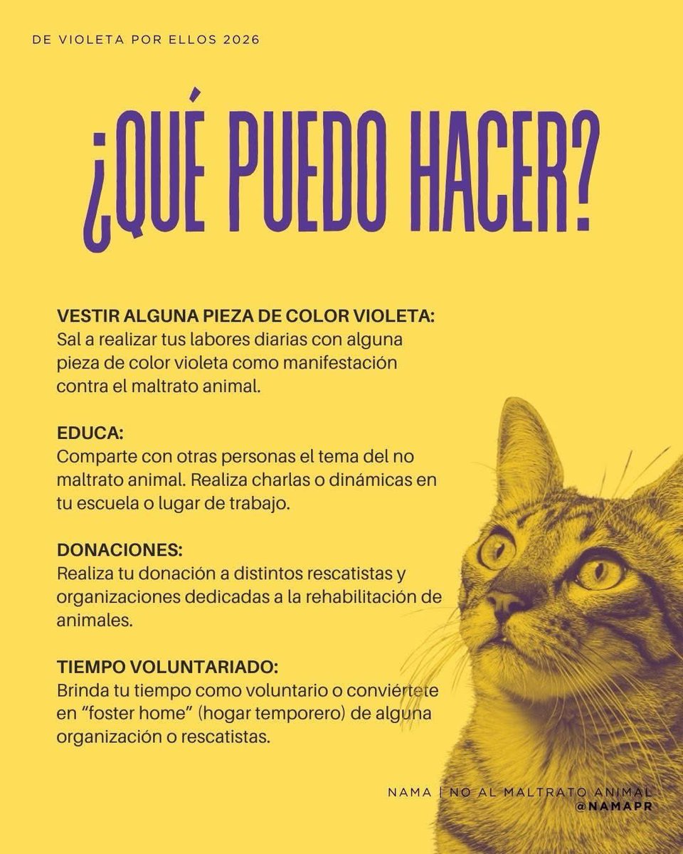 Remi Martin tweet media