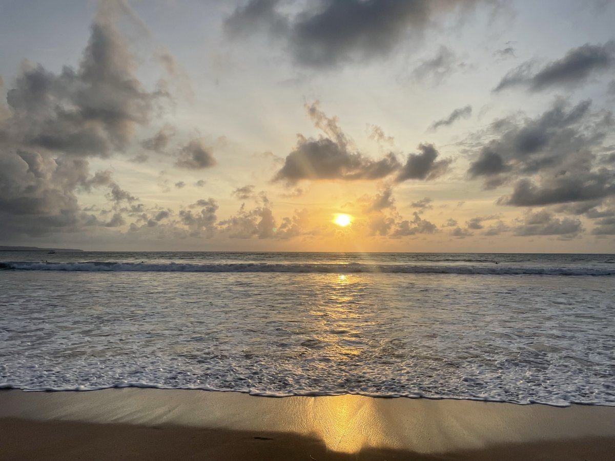 corgistudio.io Marketplace tweet media