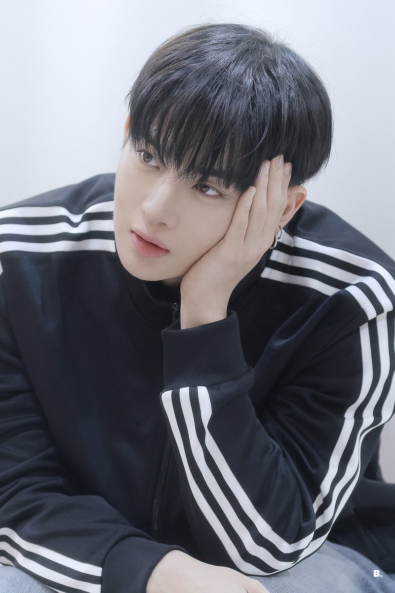 B. 비닷 tweet media