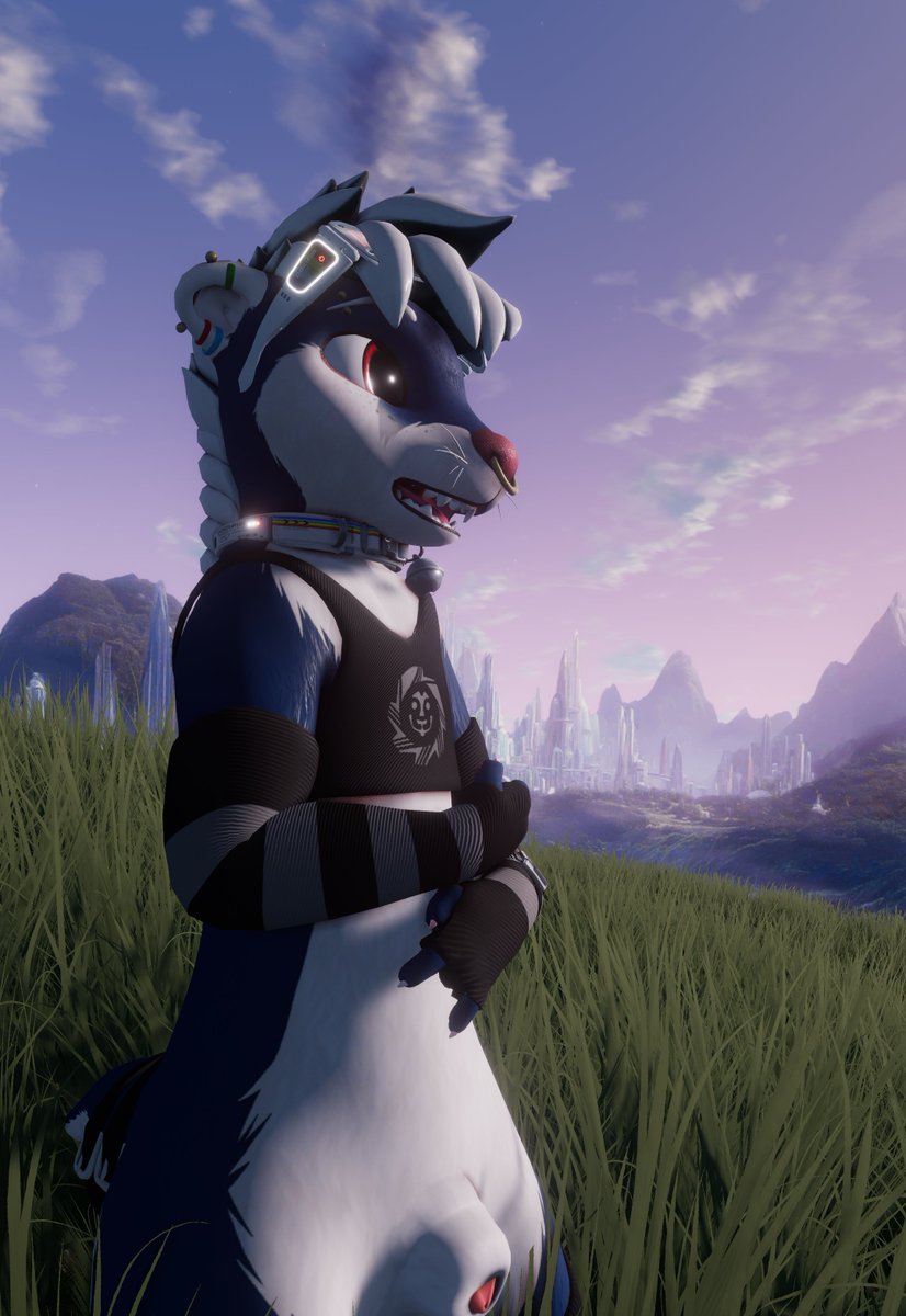 Lando 🐿 tweet media