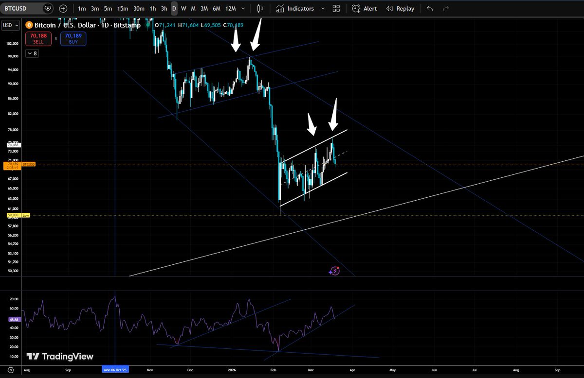The X Expert tweet media