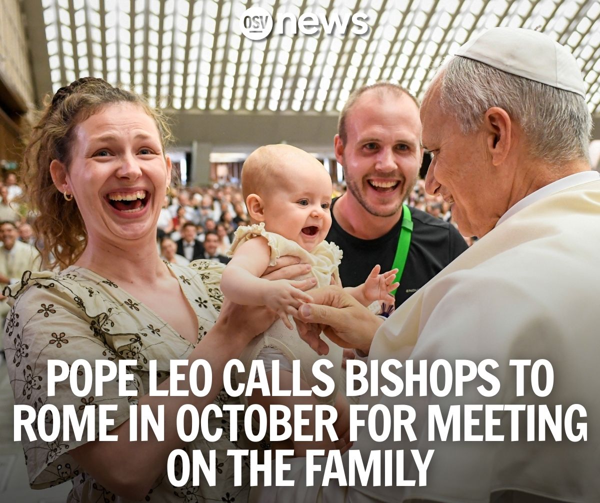 OSV News tweet media