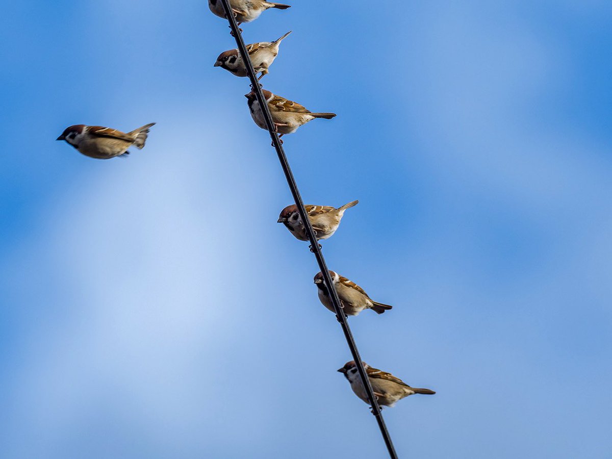 ごりぺん tweet media