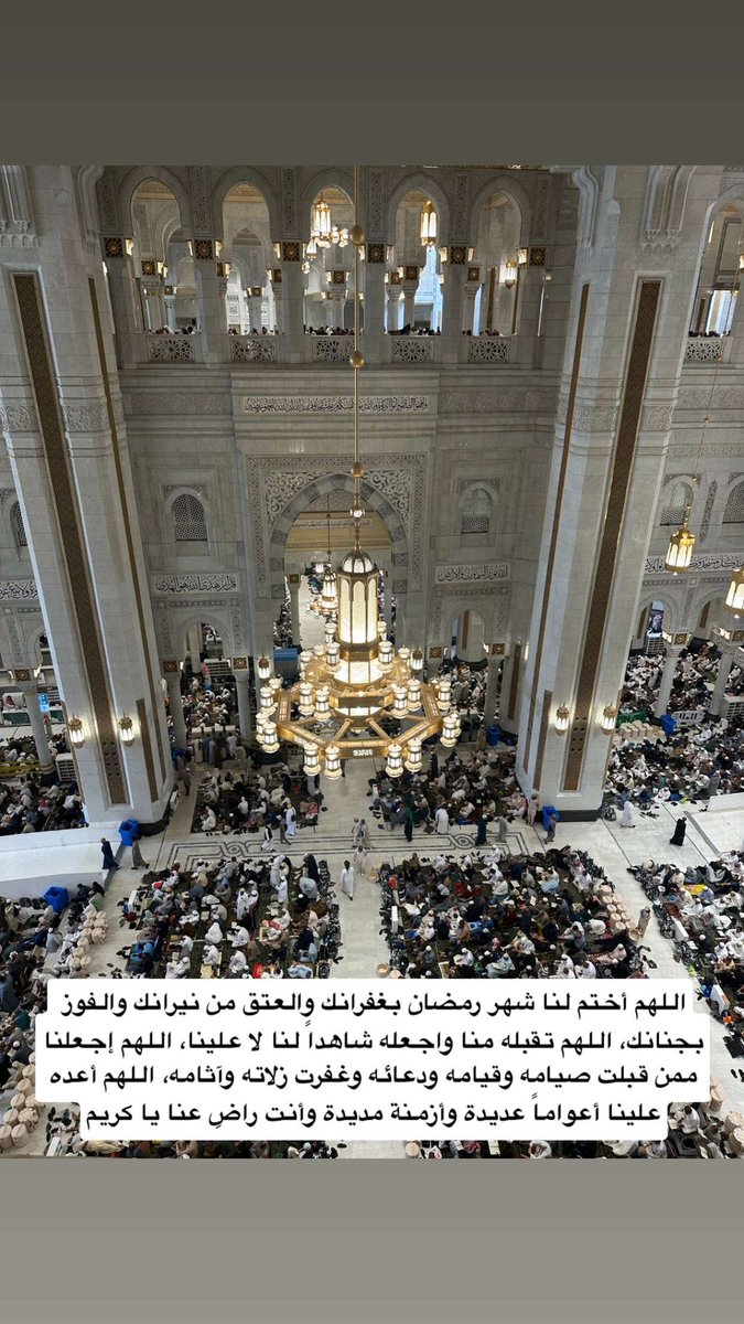 محمد حامدي tweet media